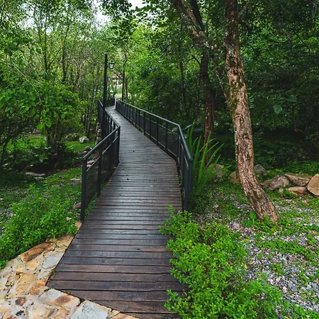Cabana Win En El Bosque, Runa Yaku San Lorenzo  Exterior photo