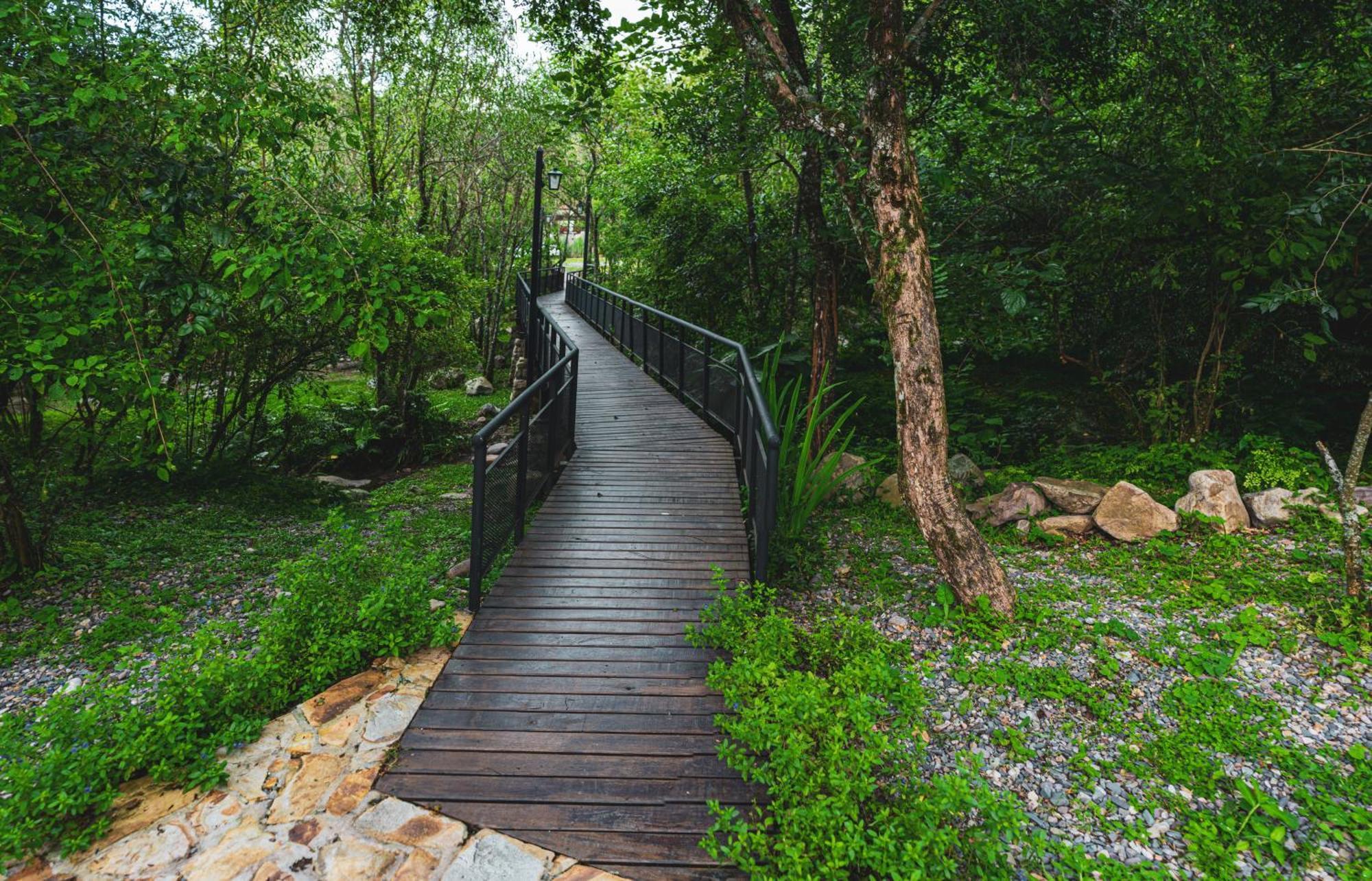 Win En El Bosque, Runa Yaku Chalet *